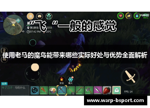 使用老马的魔鸟能带来哪些实际好处与优势全面解析