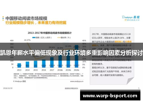 凯恩年薪水平偏低现象及行业环境多重影响因素分析探讨