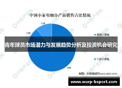 青年球员市场潜力与发展趋势分析及投资机会研究 青年球员市场潜力与发展趋势分析及投资机会研究